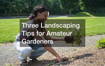 Three Landscaping Tips for Amateur Gardeners