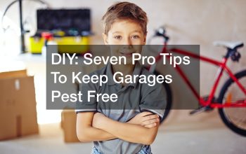 DIY  7 Pro Tips To Keep Garages Pest Free