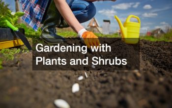 Gardening with Plants and Shrubs